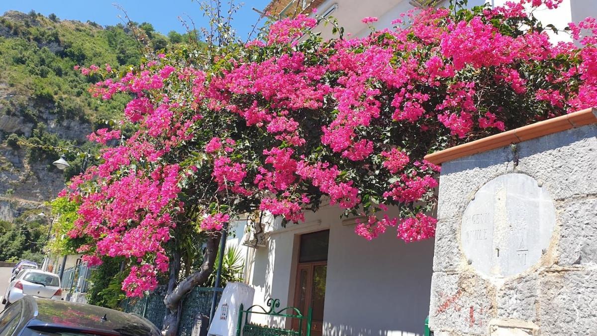 Villa Grace Amalfi Seaview ภายนอก รูปภาพ