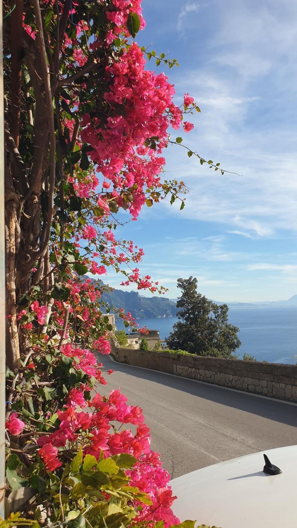 Villa Grace Amalfi Seaview ภายนอก รูปภาพ