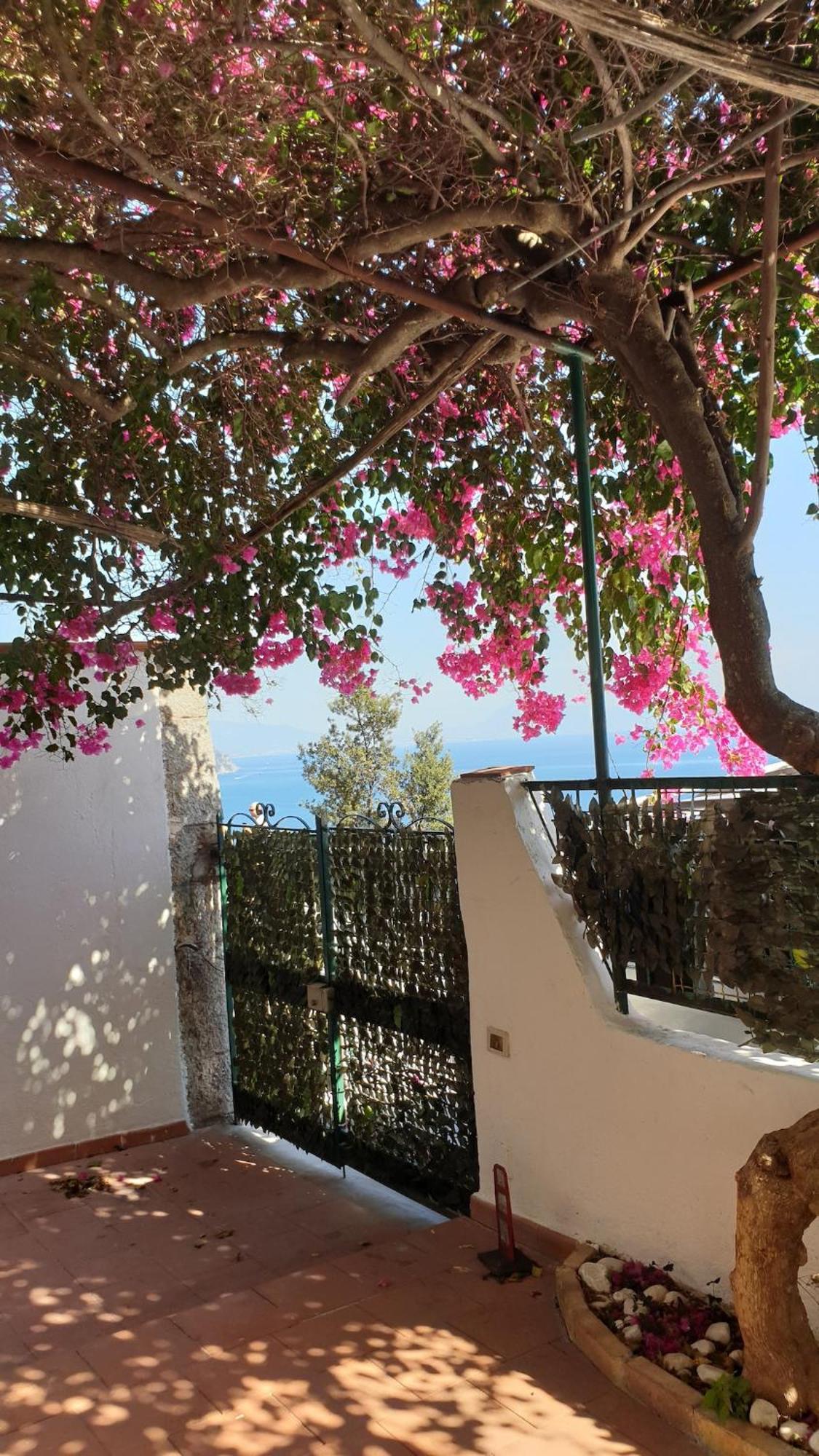 Villa Grace Amalfi Seaview ภายนอก รูปภาพ