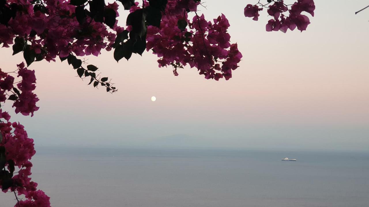 Villa Grace Amalfi Seaview ภายนอก รูปภาพ